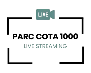 icon live streaming parc cota 1000